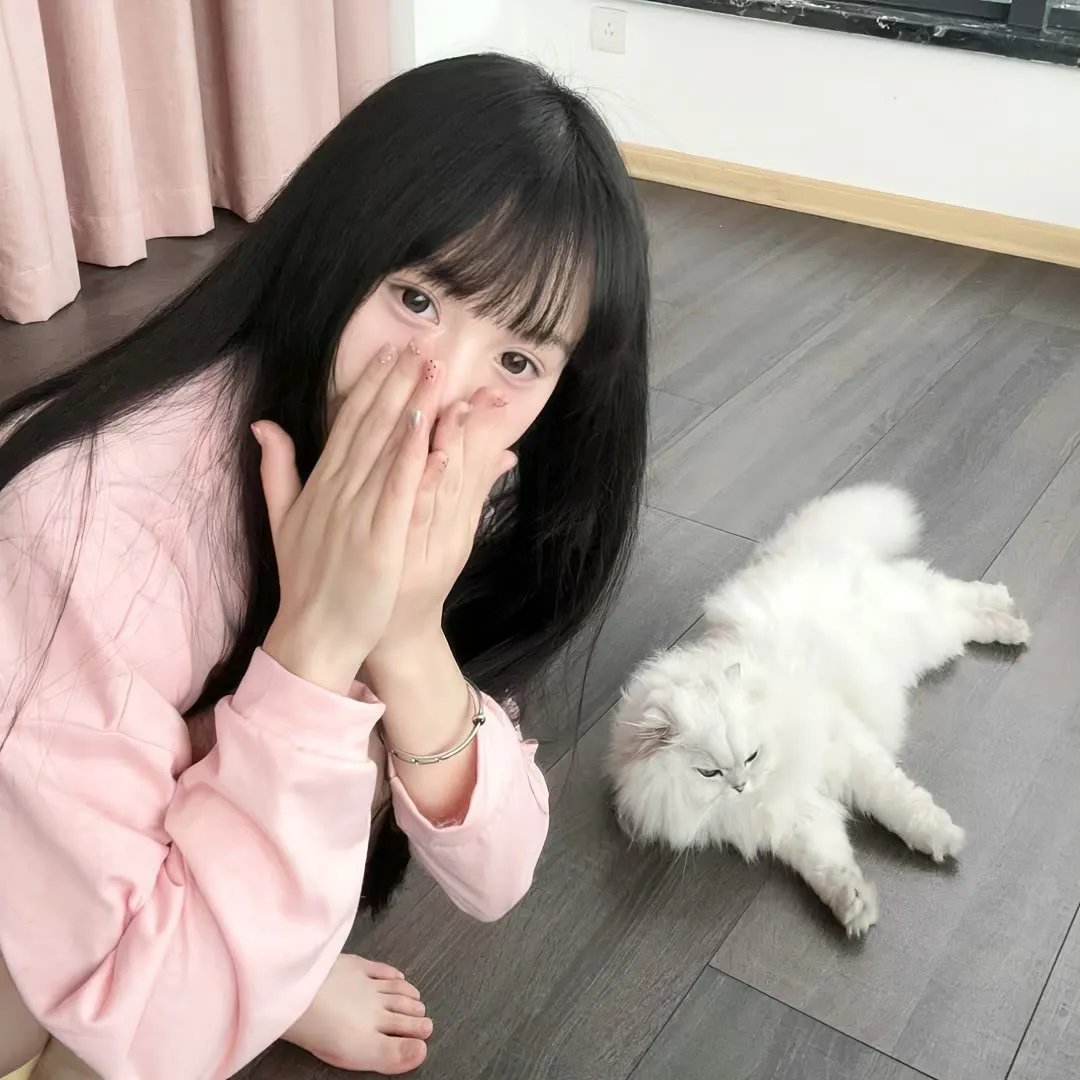 鸡蛋救援